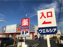 ウエルシア高崎上佐野店