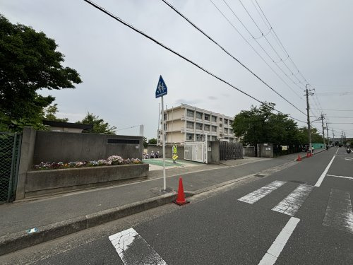 の画像
