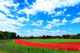 総合運動公園の画像