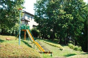 の画像