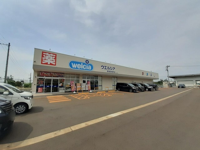 ドラッグストア ウエルシア新潟新津東町店