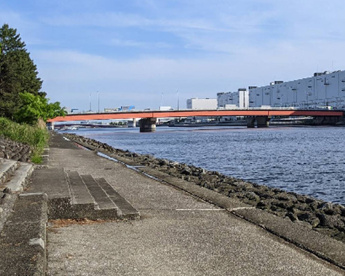 大井ふ頭中央海浜公園みどりヶ浜の画像1