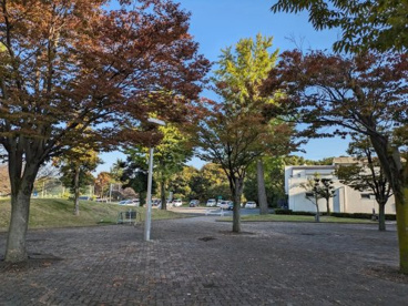 久喜市総合運動公園多目的広場の画像1