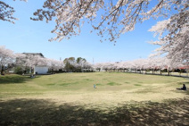 久喜市コミュニティ広場