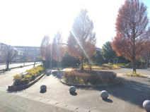 あけぼのすぎ公園