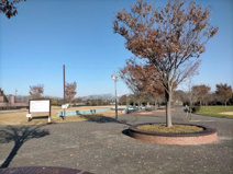 権現堂公園 1号公園 多目的運動広場