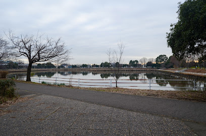 弦代公園調整池の画像1