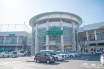 モラージュ菖蒲