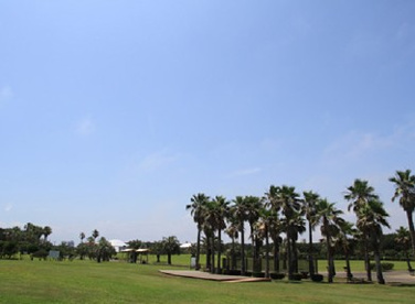 辻堂海浜公園の画像2