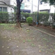 南田中さくら緑地の画像