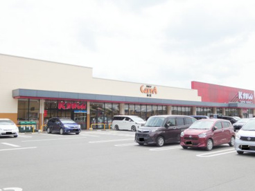かましんカルナ市貝店の画像1