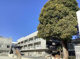 世田谷区立松沢小学校の画像