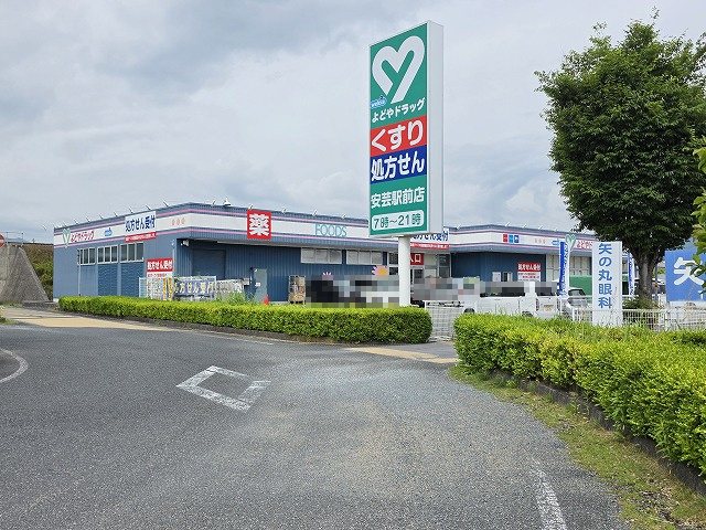 の画像