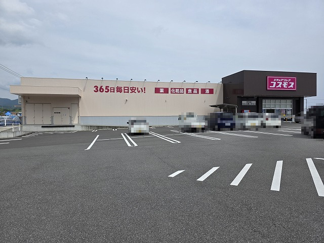 の画像