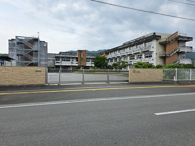 の画像