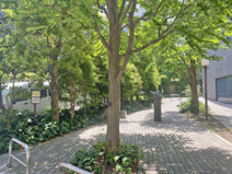 南青山三丁目緑地