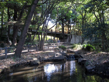 公園 林試の森公園