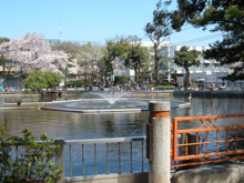 清水池公園