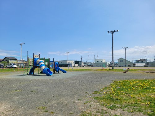 の画像