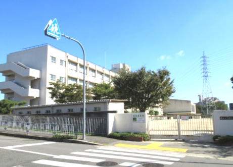 の画像