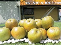 フルーツパーク長後の画像1