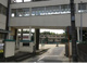 小金小学校の画像
