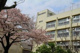 貫井中学校の画像