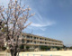 大沢北小学校の画像