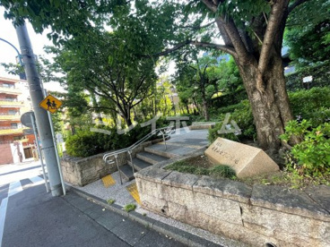 南青山七丁目緑地の画像2
