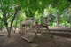 林試の森公園の画像