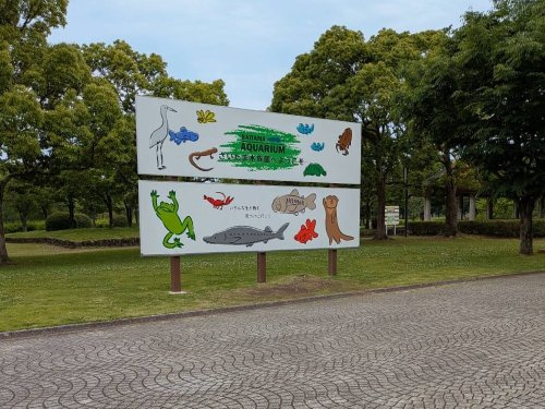 の画像