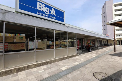 ビッグ・エー幸手東店の画像1