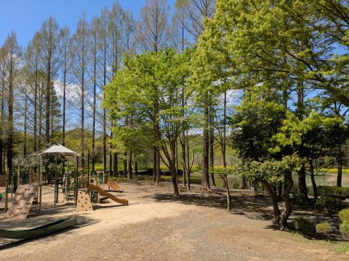 上尾丸山公園の画像