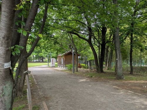 の画像