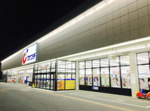 カワチ薬品 幸手店