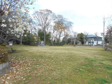堂山公園の画像1