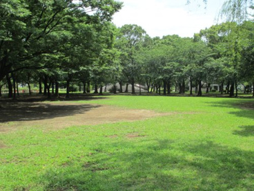 綾瀬東児童公園の画像1