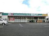 ドラッグセイムス 草加氷川町店