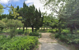 東浜公園
