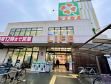 ライフ野田店