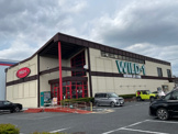 WILD-1