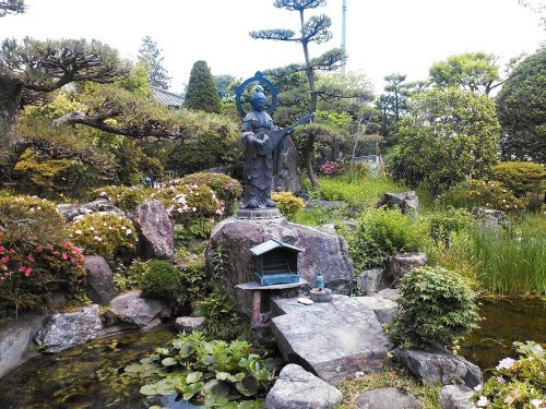 の画像