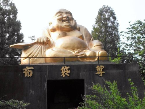 の画像