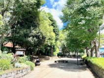 下連雀けやき広場