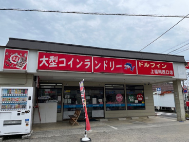 ドルフィンの画像1