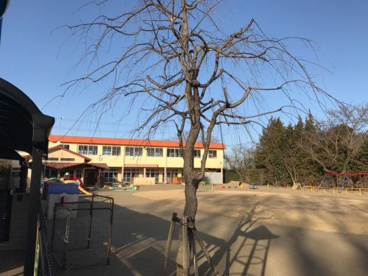 宝光寺幼稚園の画像1