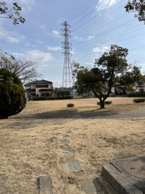 姫宮南遊水池公園の画像1