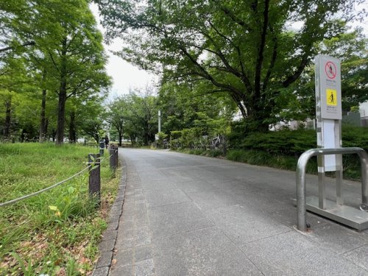 めぐろ区民キャンパス公園の画像1