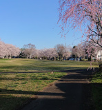 公園 貝原塚西公園