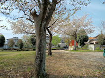 松葉第一児童公園